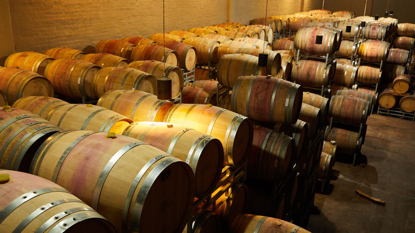 Ballard Canyon Syrah Trail